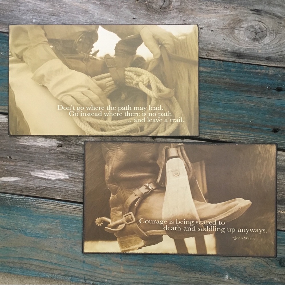 Set of 2 Western Metal Signs!